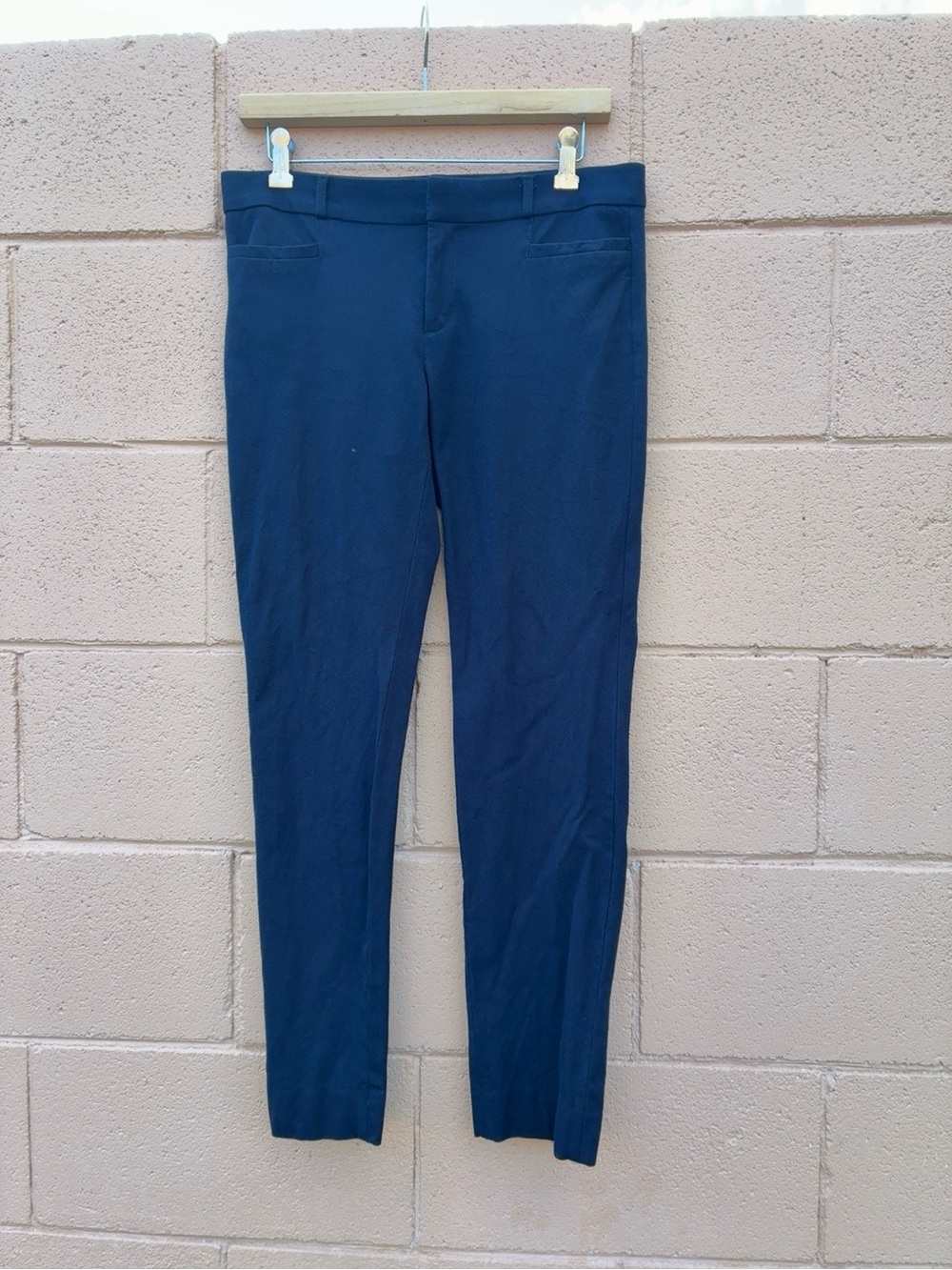 Banana Republic Navy Ankle Pants